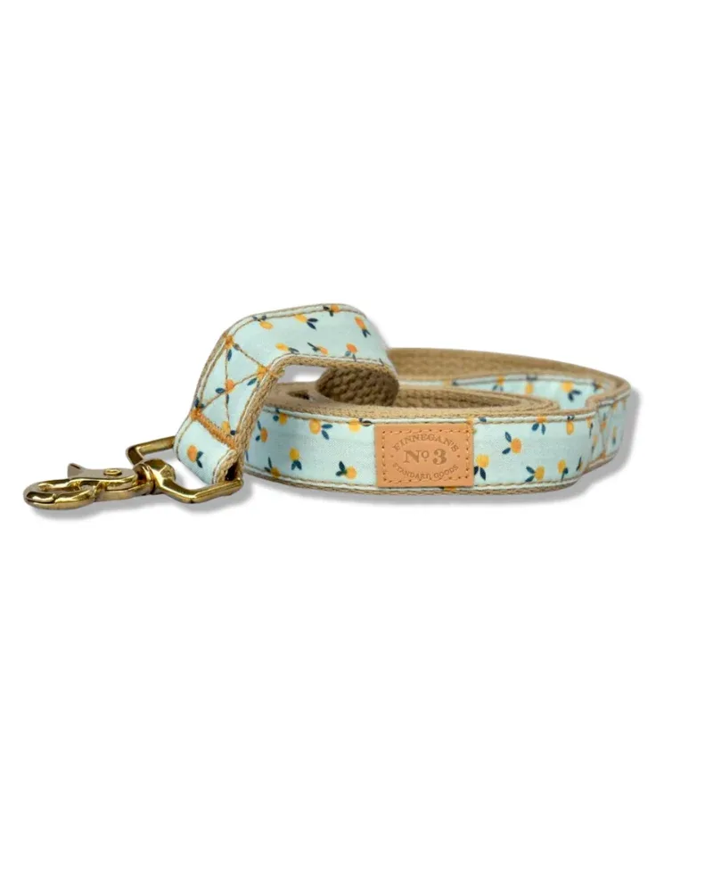 Clementine Dog Lead (Made in the USA)