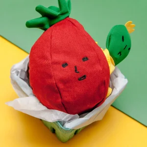 Tomato Interactive Nosework Dog Toy