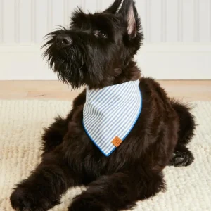 Lake Blue Stripe Spring Dog Bandana (Made in the USA)