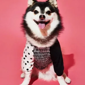 Geometric Print Dog T-Shirt (Made in the USA)