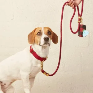 Wine Marine Rope Dog Leash (Made in the USA) (FINAL SALE)