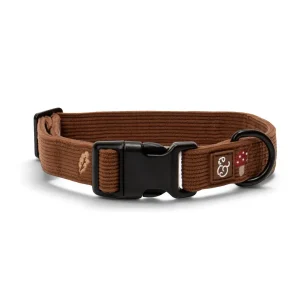 Woodland Wonder Corduroy Collar