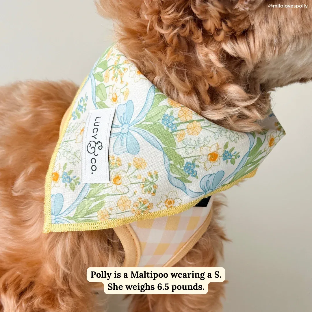 Sunshine and Daffodils Bandana - Image 2
