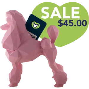 Poodle Business Card Holder Pink by Kumpe3D