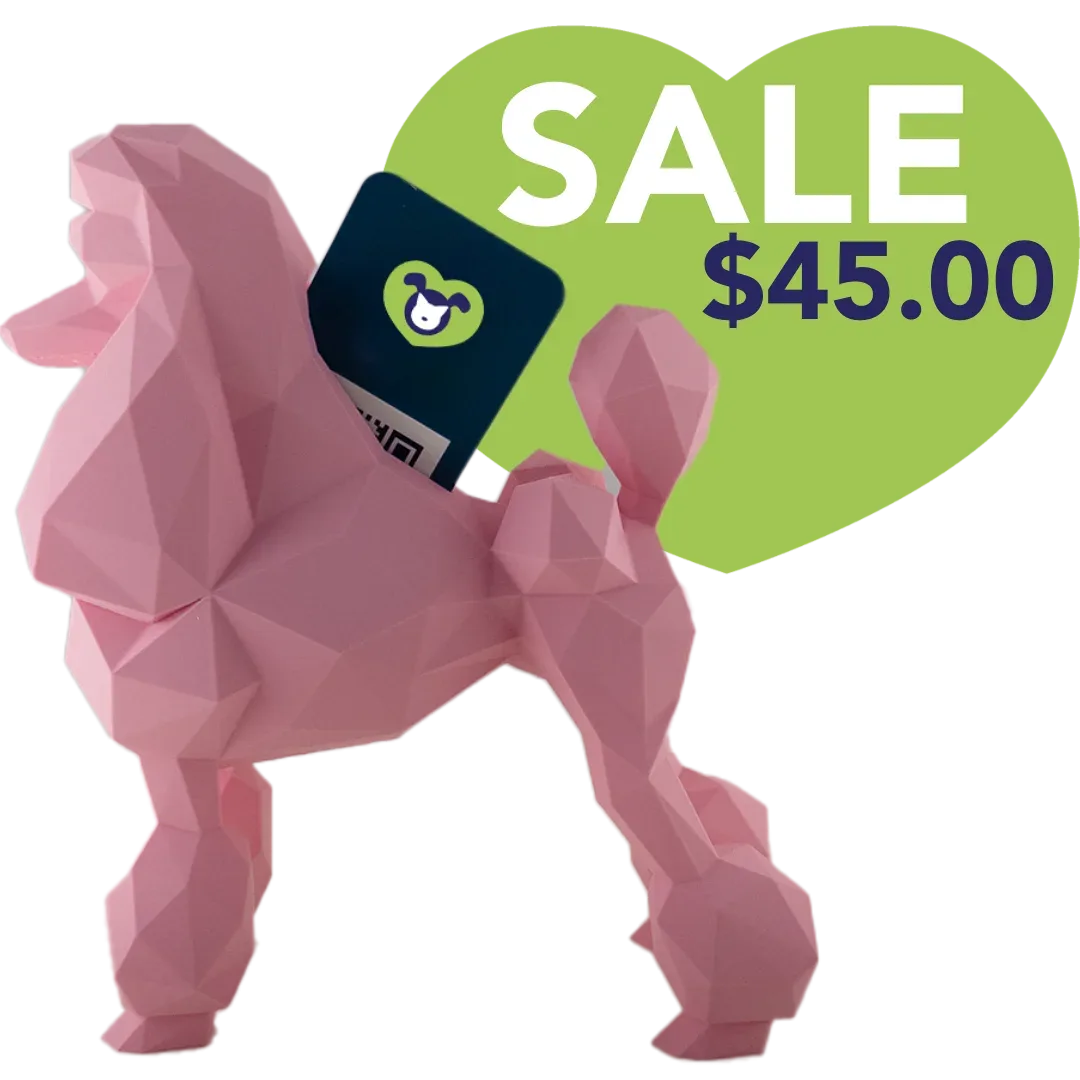 Poodle Business Card Holder Pink by Kumpe3D