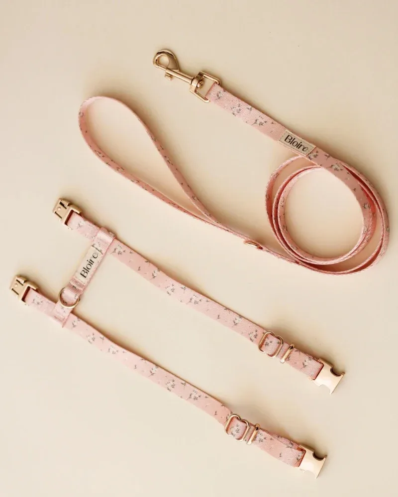 Meadow Matching Cat Harness & Leash Set - Image 2
