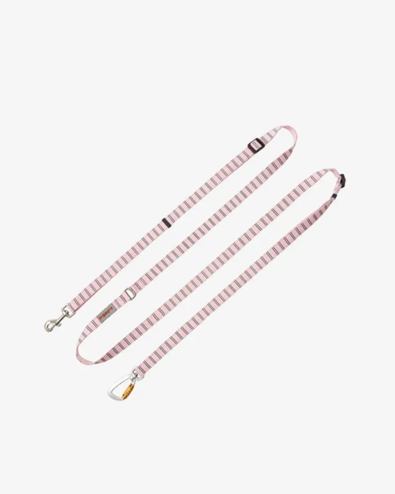 Stripe Daisy Dog Lead - Image 2