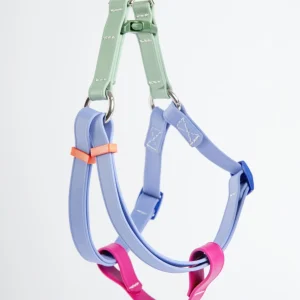 A Walk in the Park Waterproof Dog Harness in Magenta, Periwinkle, & Sage Green (Made in the USA)