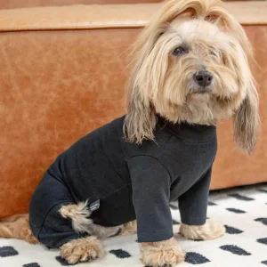 Body Warm Onesie in Black (Dog & Co. Exclusive)