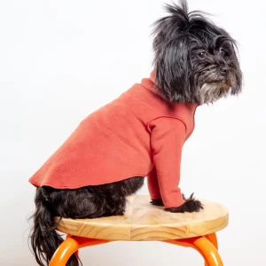 Long-Sleeve Stretch Fleece in Paprika (Made in the USA, DOG & CO. + GOLD PAW Exclusive!)
