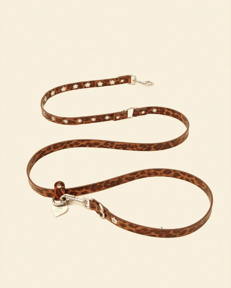 Flower Power Dog Leash in Cougar