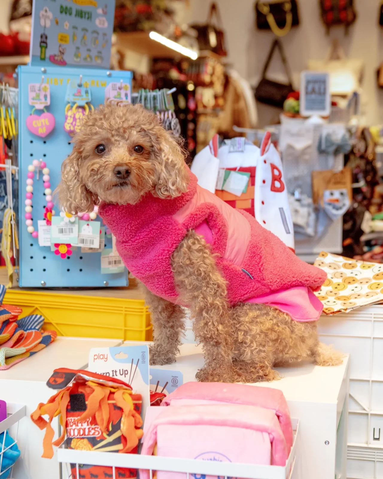 Zip Up Sherpa Dog Harness Vest in Pink (FINAL SALE)