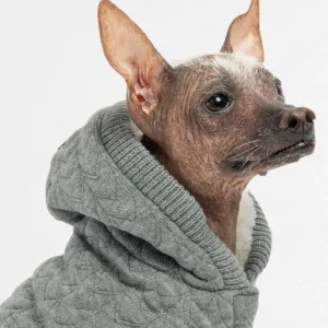 Maxwell Grey Dog Sweater Hoodie((FINAL SALE))