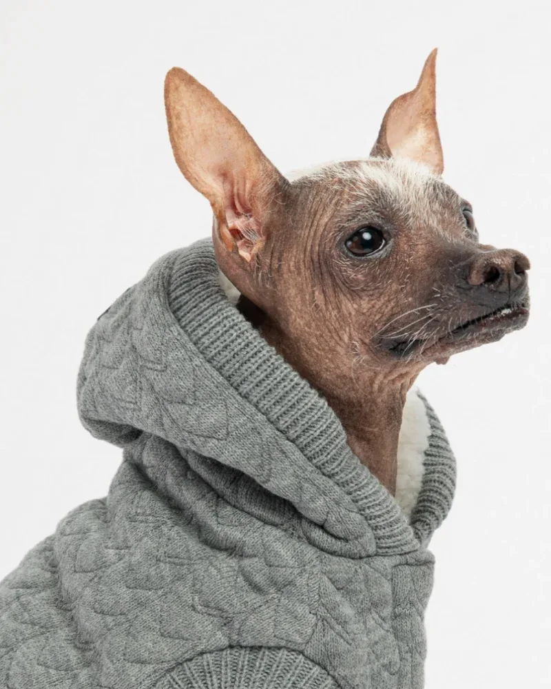 Maxwell Grey Dog Sweater Hoodie((FINAL SALE))