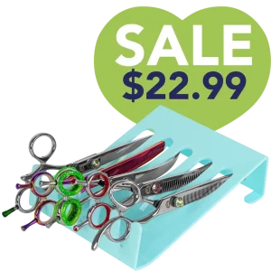 5 Scissor Holder Drawer and Table Aqua by PetStore.Direct