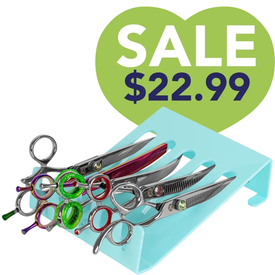 5 Scissor Holder Drawer and Table Aqua by PetStore.Direct