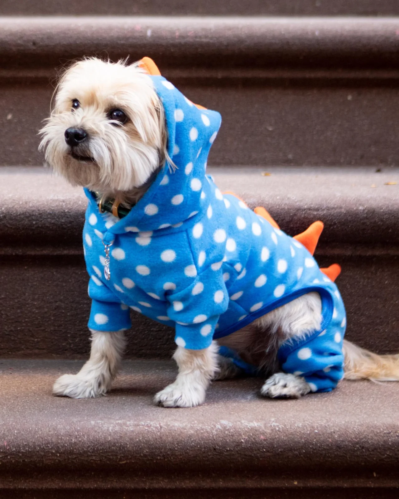 Hooded Fleece Polka Dot Dino Dog Onesie