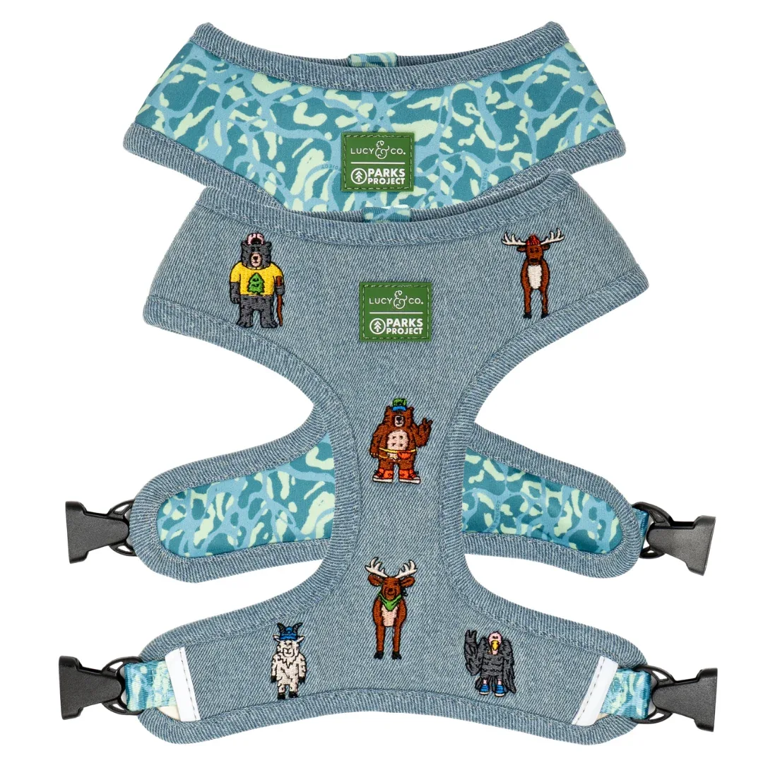 Lucy & Co. x Parks Project Adventures with Friends Reversible Harness