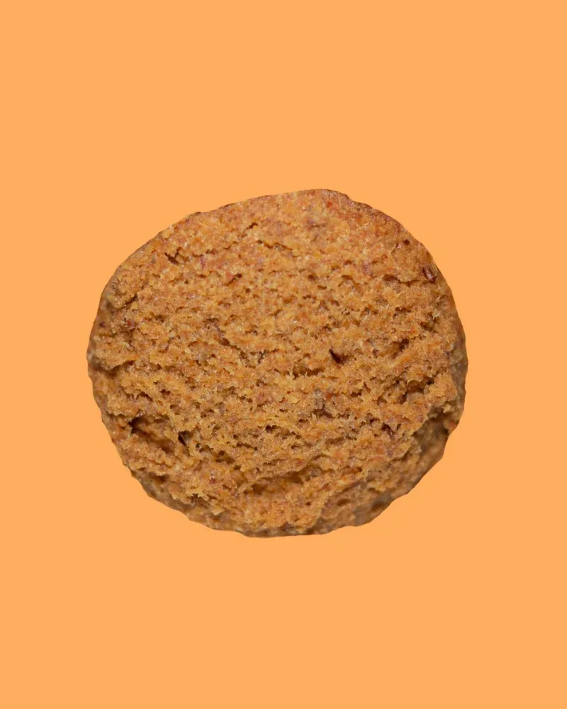 Pup-Kin Pie Pumpkin Sourdough Dog Treats - Image 2