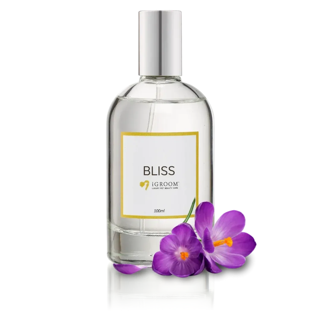 Bliss Perfume 100ml by iGroom - Image 2