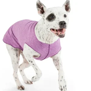Sun Shield Dog Tee in Violet (Made in the USA) <>