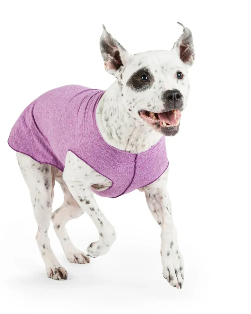 Sun Shield Dog Tee in Violet (Made in the USA) <>