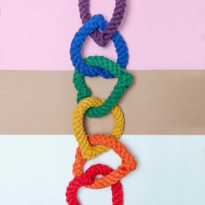 6 Chain Heart Rope Dog Toy in Rainbow