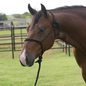 Professionals Choice Equissential Rope Halter with 8ft Attached Lead Rope