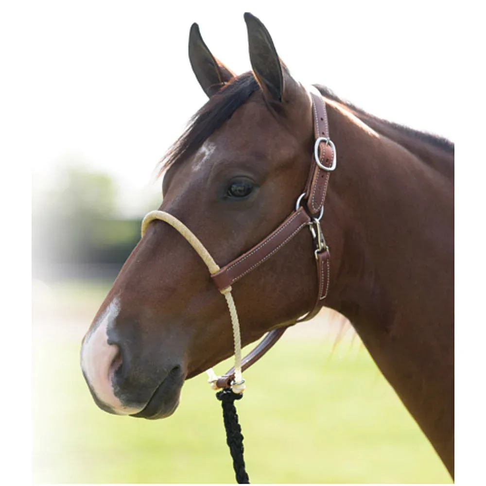 Professionals Choice Rawhide Wrapped Single Rope Noseband Leather Ranch Horse Halter - Image 2