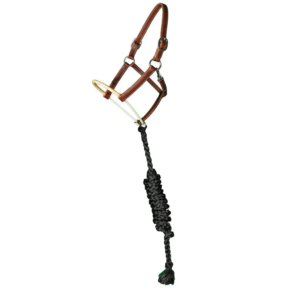 Professionals Choice Rawhide Wrapped Single Rope Noseband Leather Ranch Horse Halter