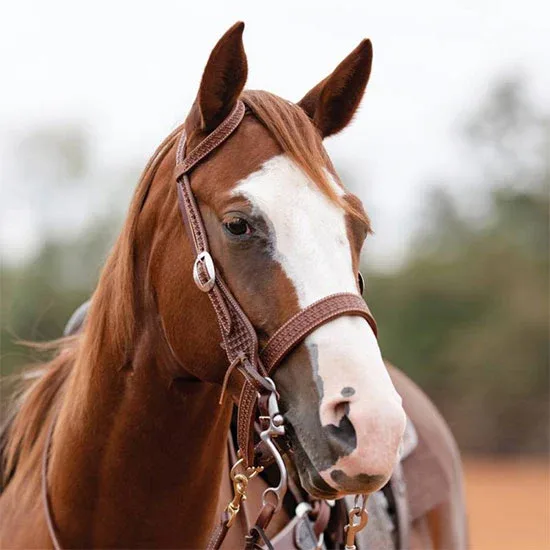 Professionals Choice Windmill Heavy Oil Noseband - Image 2