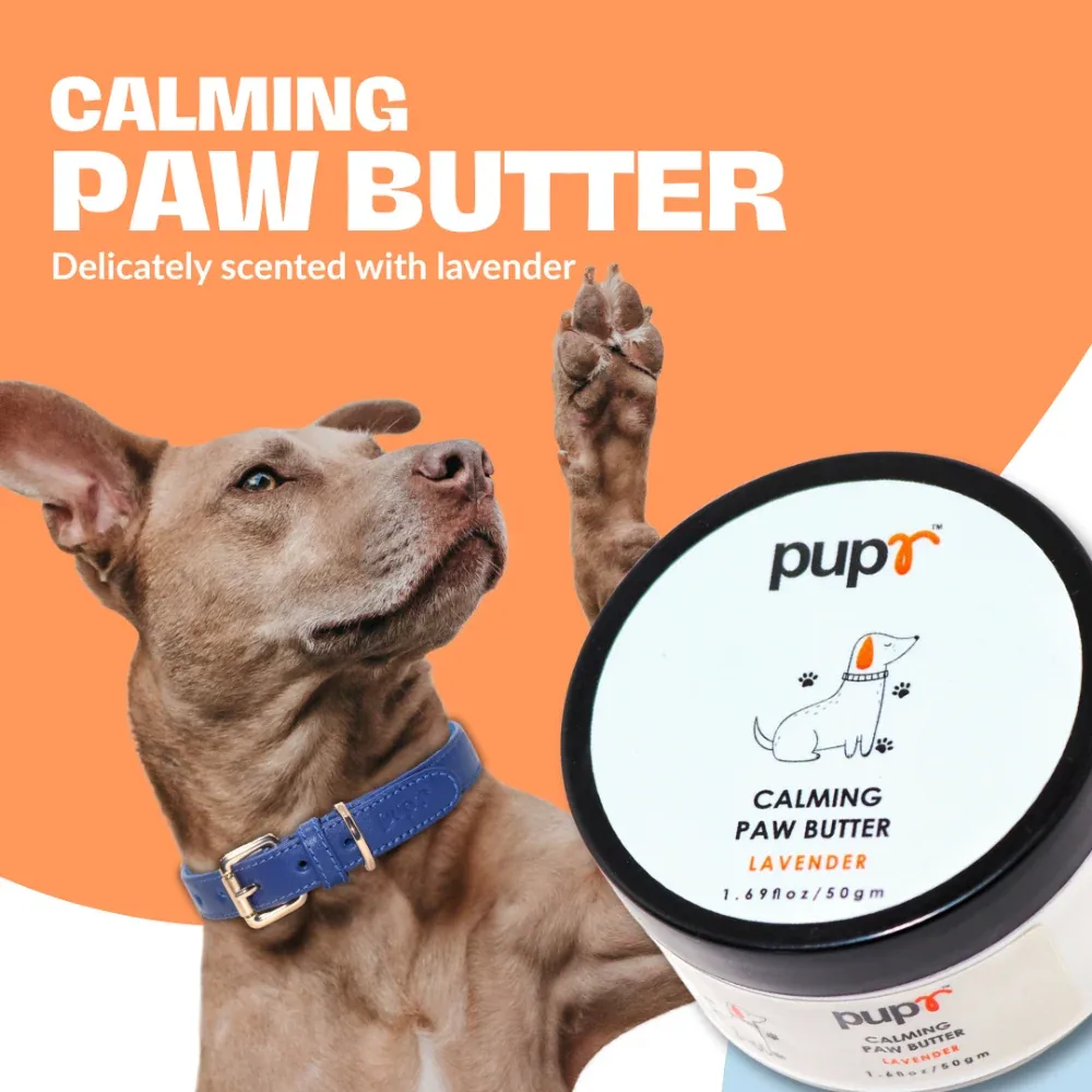 Pupr Calming Lavender Flavoured Paw Butter for Dogs - Image 2