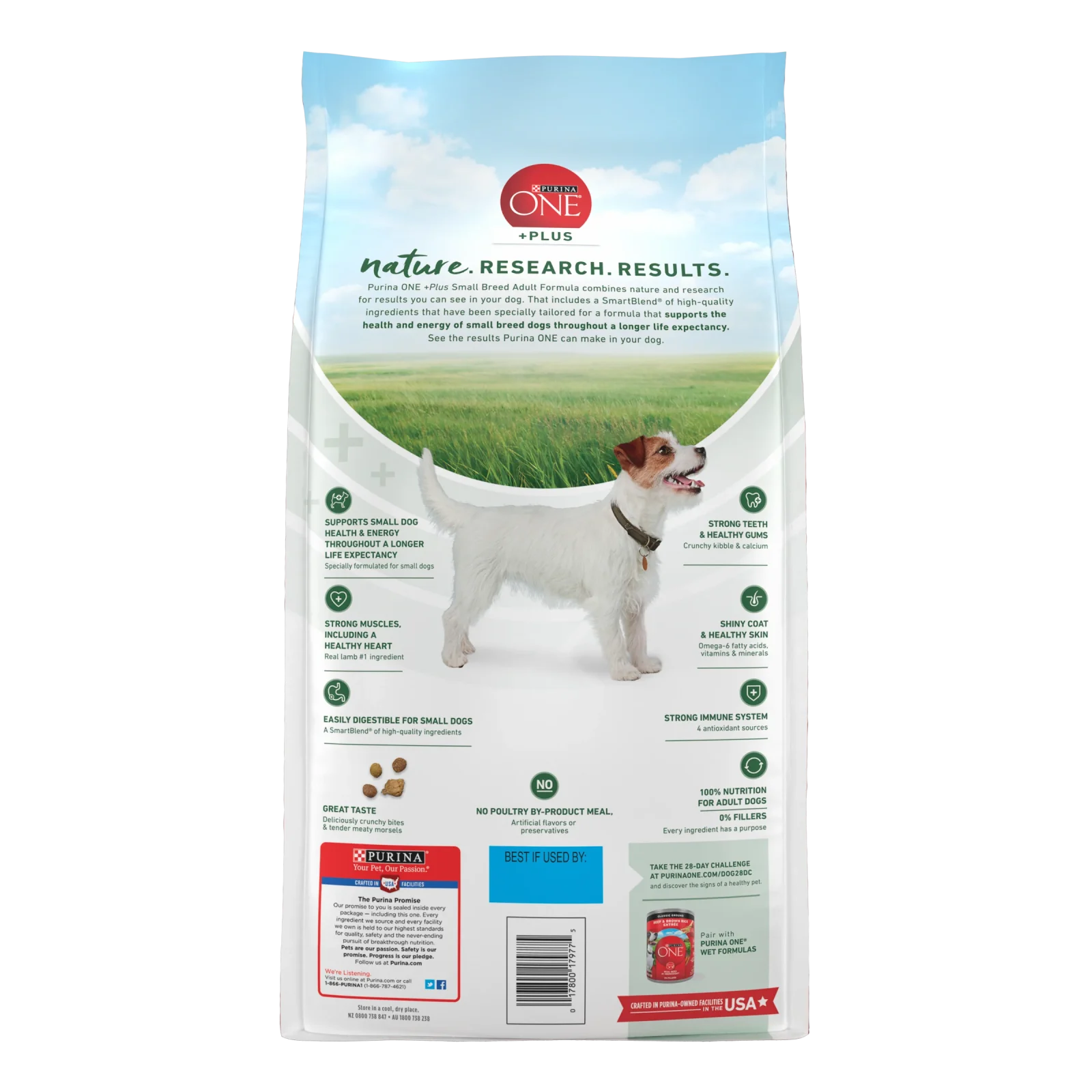 Purina ONE Plus Small Breed Lamb and Rice Formula Dry Dog Food - Image 2