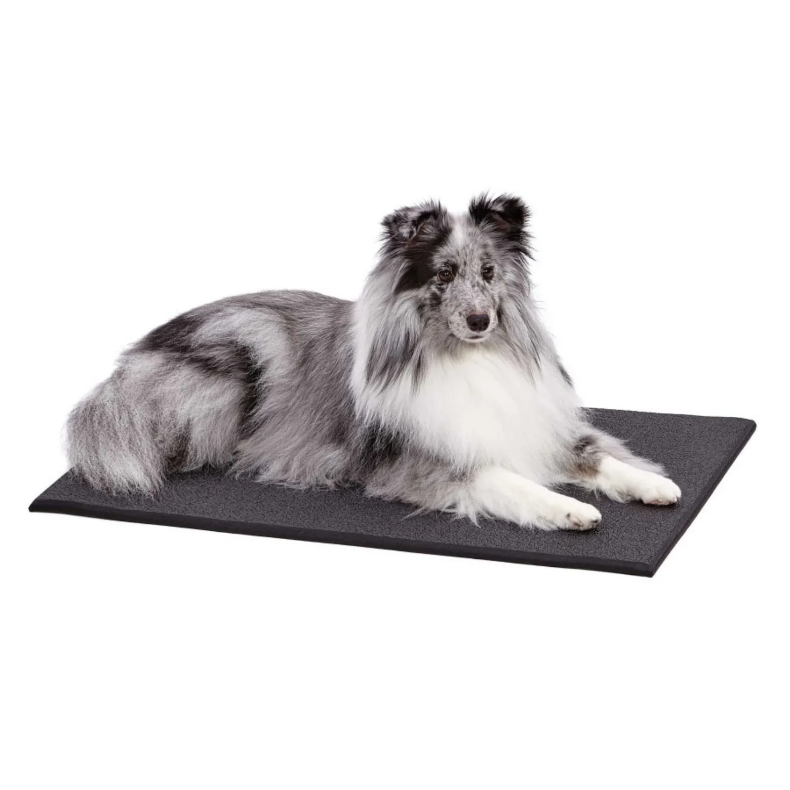 QuietTime Cushioned Dog Crate Mat 30in - Image 2