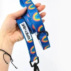 Rainbow Bright Soft Grip Dog Leash