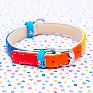 Rainbow Leather Dog Collar <>