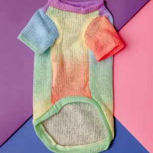 Rainbow Ombre Tiny Dog Sweater <>