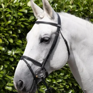 Raised Jumping Snaffle Bridle with Flash Black