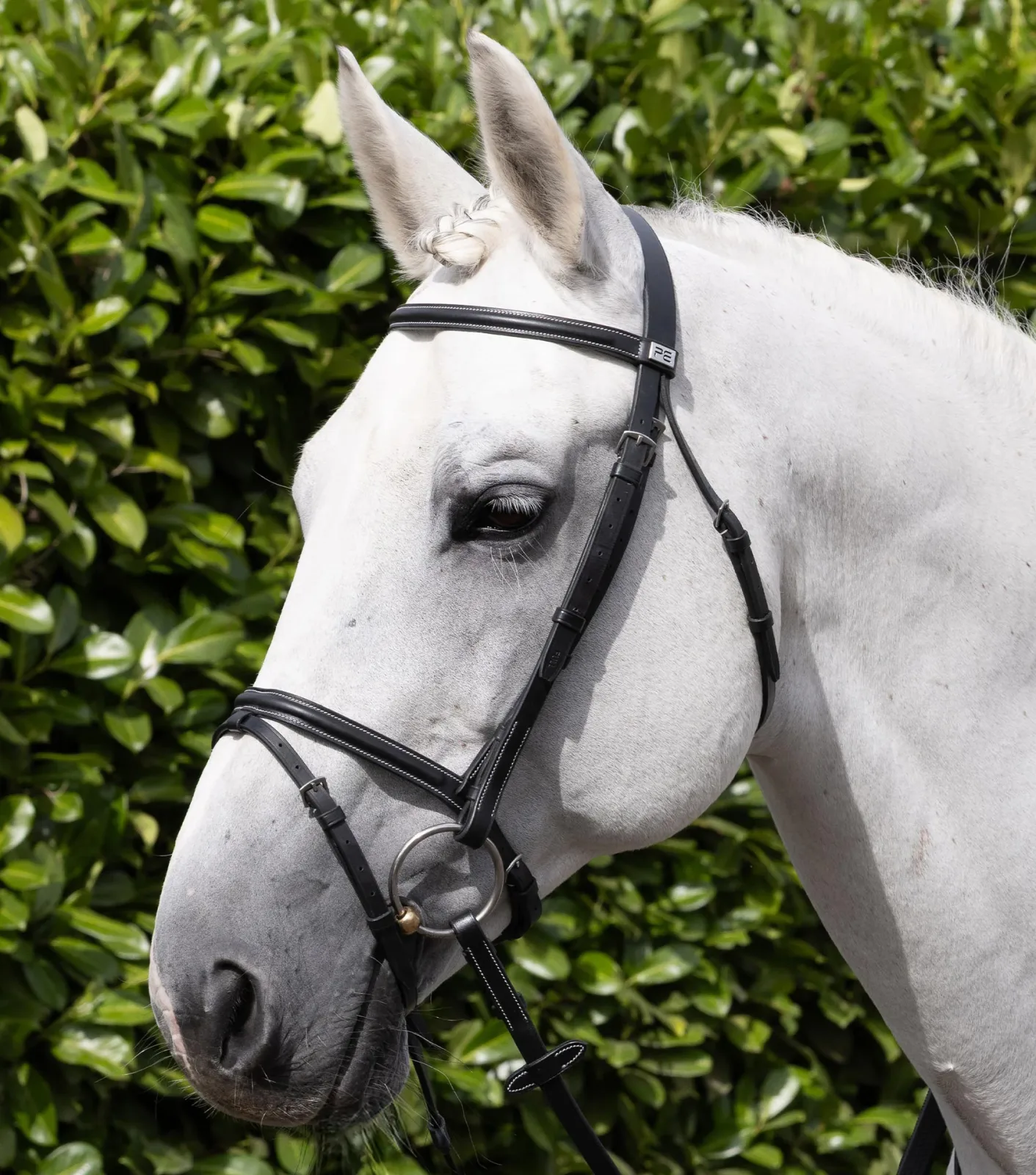 Raised Jumping Snaffle Bridle with Flash Black