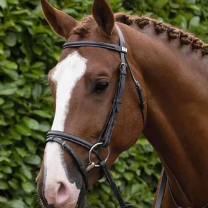 Raised Jumping Snaffle Bridle with Flash Dark Havana