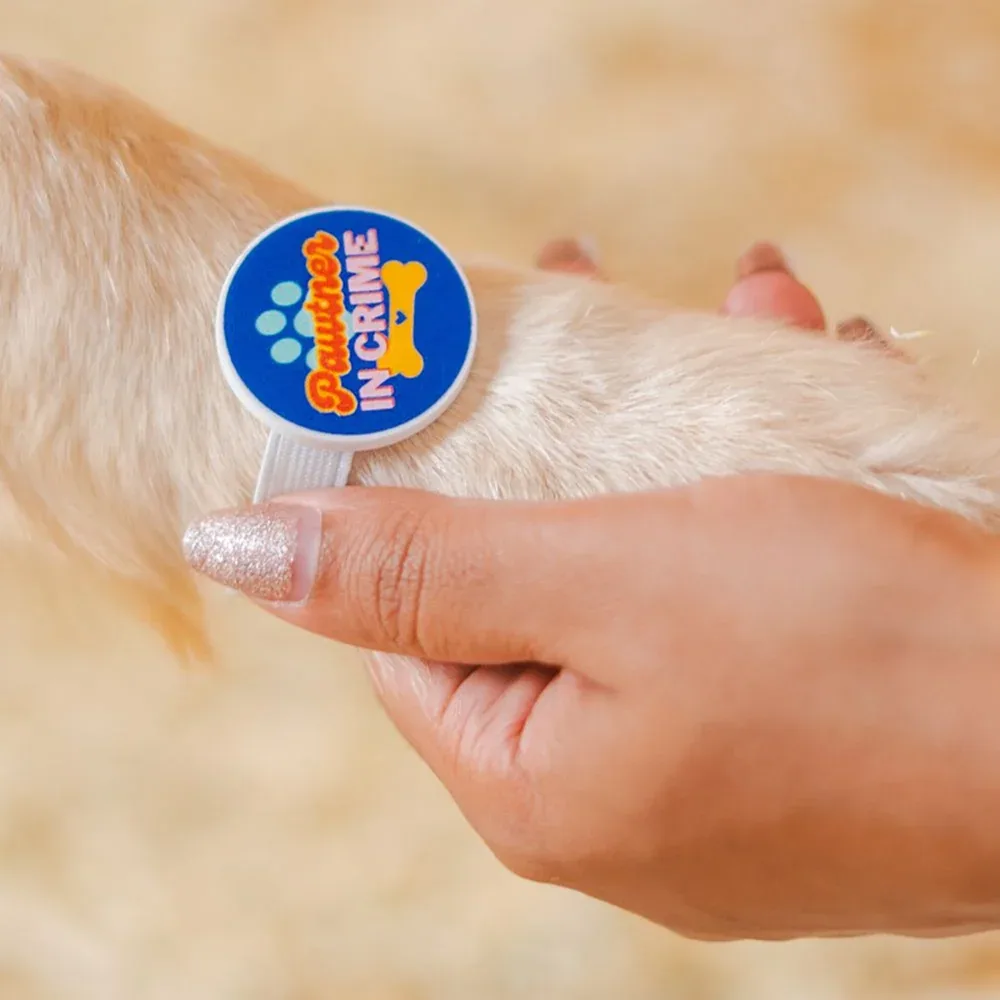 Raksha Bandhan Pawtner in Crime Rakhi for Dogs & Cats by Pet Set Go - Image 2