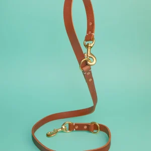 Rambler 3-in-1 Dog Leash in Terra