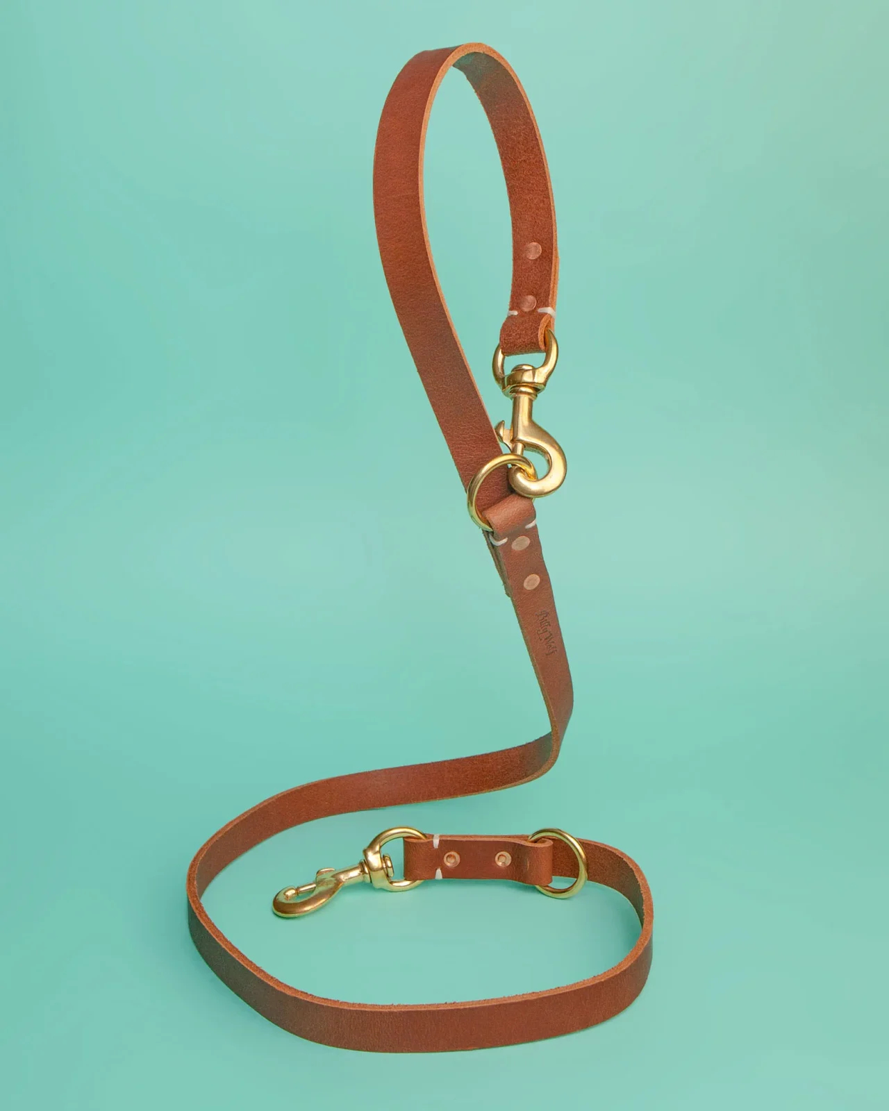 Rambler 3-in-1 Dog Leash in Terra
