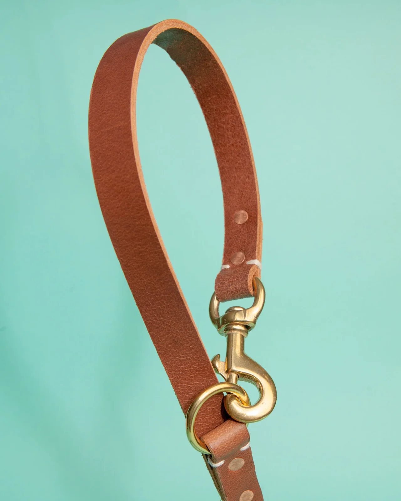 Rambler 3-in-1 Dog Leash in Terra - Image 2