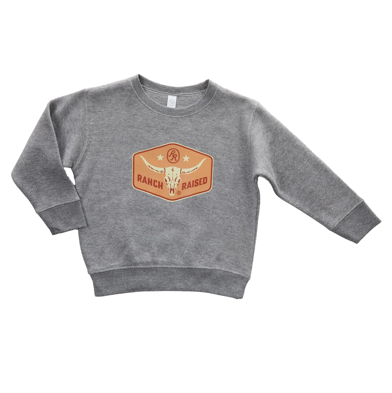 Ranch Raised Boys Grey Longhorn Sweatshirt - Image 2