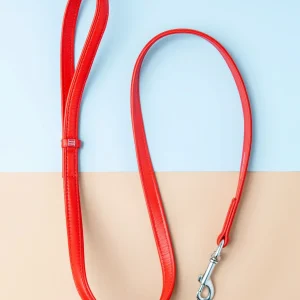 Really Red Leather Dog Leash <>
