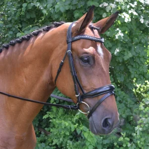 Red Barn Topline Bridle
