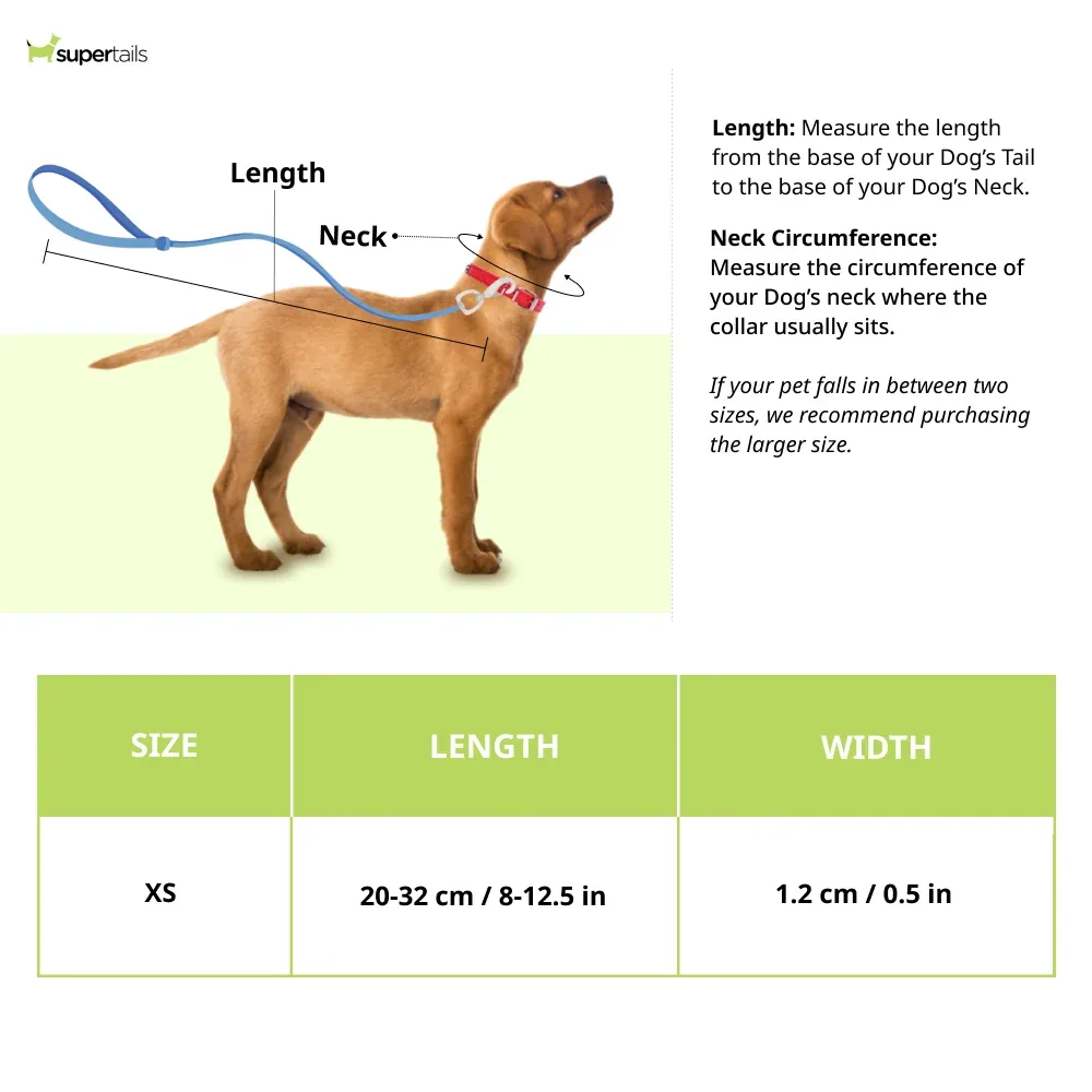 Red Dingo Classic Collar For Cats (Red) - Image 2