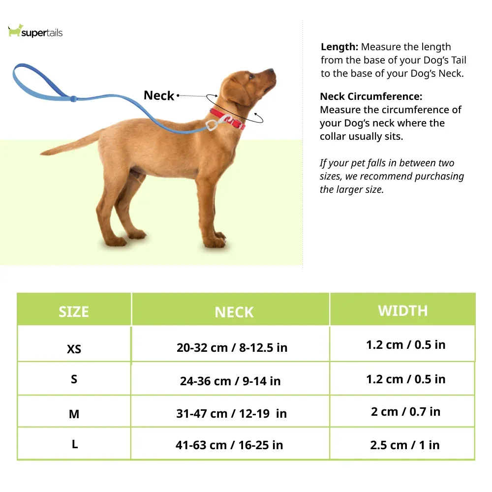 Red Dingo Classic Collar for Dogs (Lime Green) - Image 2