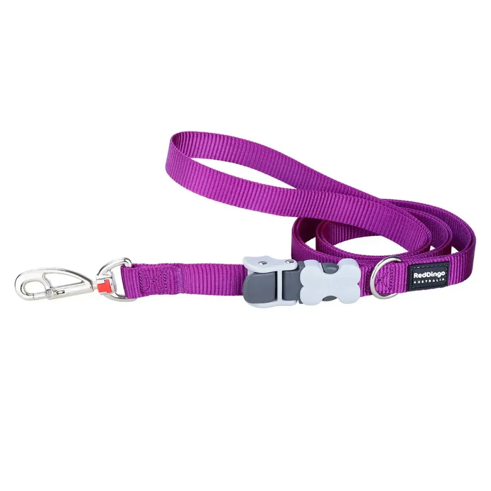 Red Dingo Classic SuperLead Leash For Dogs (Purple)
